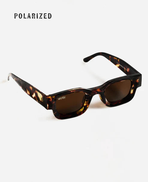 warmouth gafas de sol austin all tortoise
