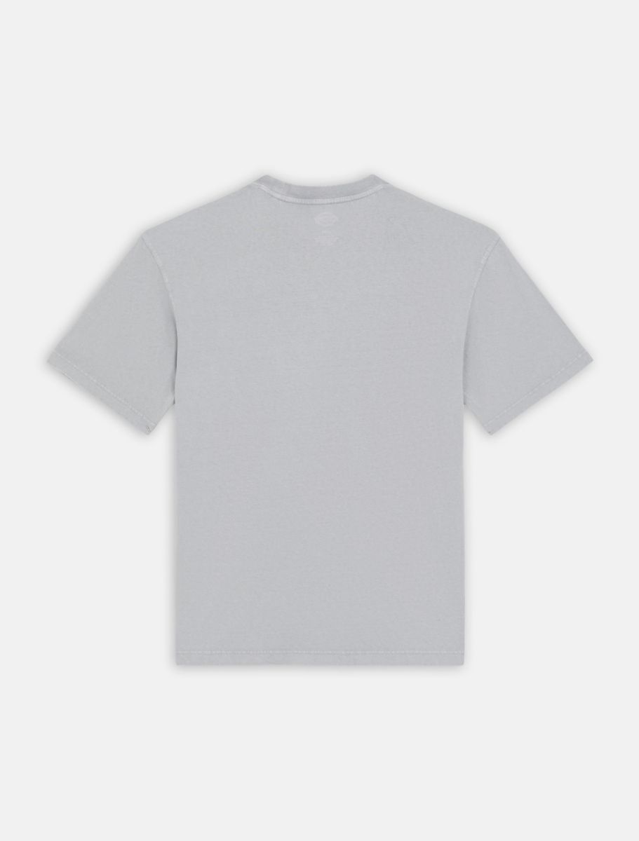 dickies camiseta plentywood stormy weather
