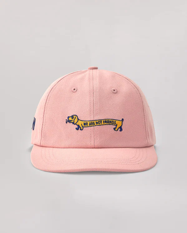 we are not friends gorra doggy