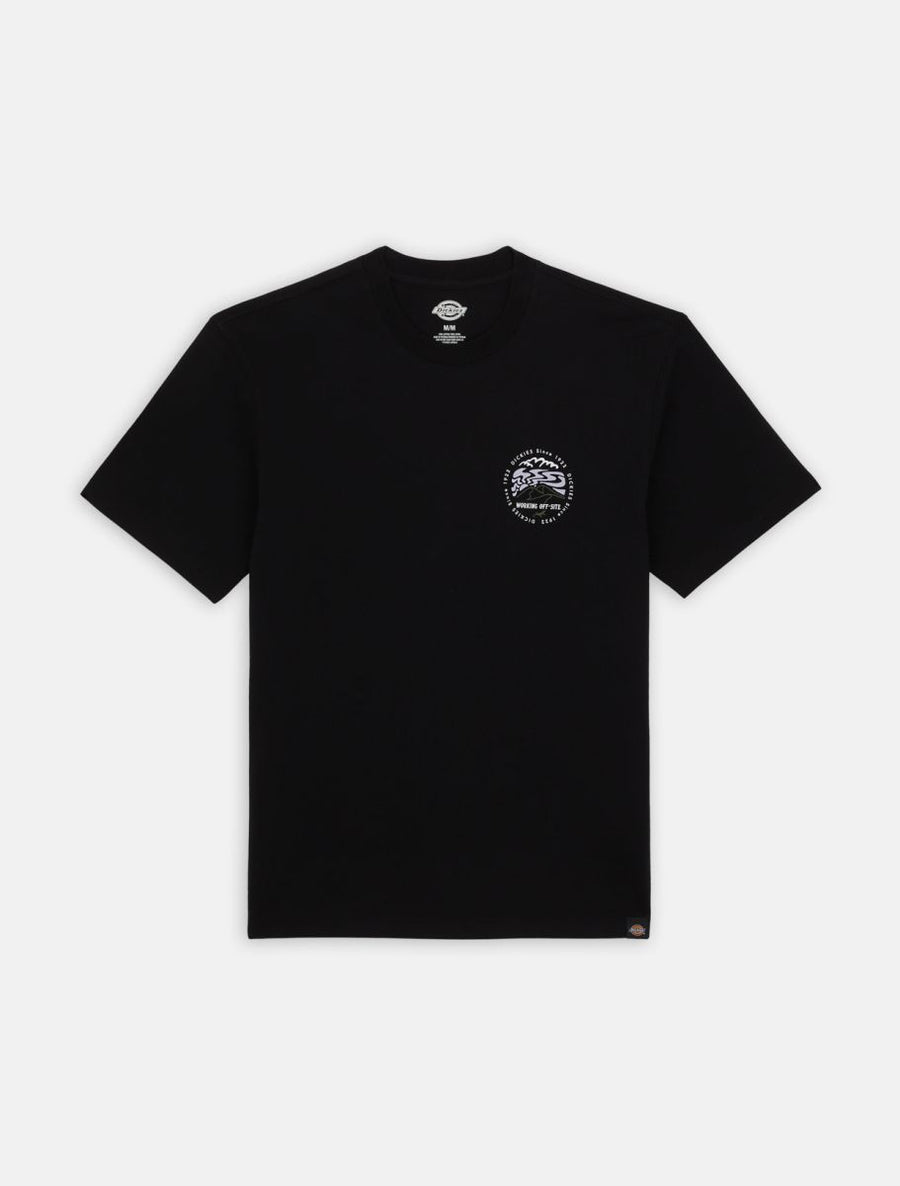 dickies camiseta stanardsville black