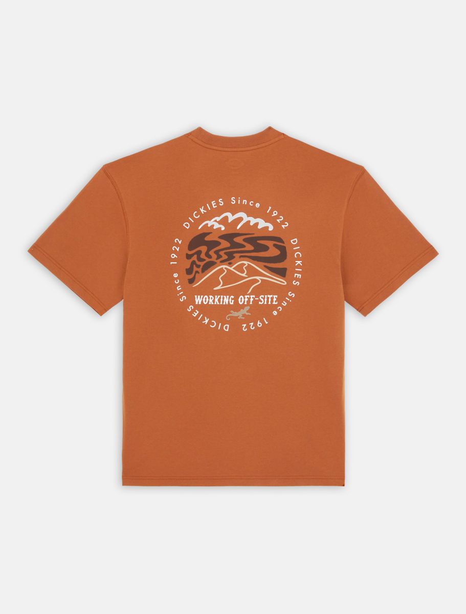 dickies camiseta stanardsville marron claro