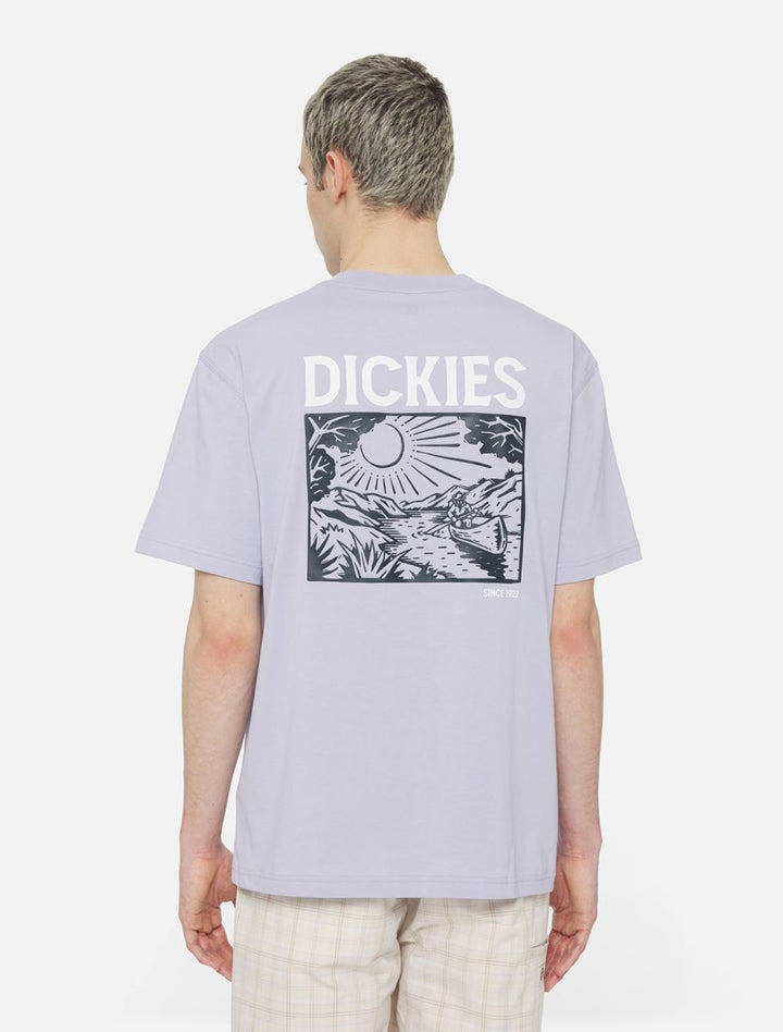 dickies camiseta patrick spring cosmic sky