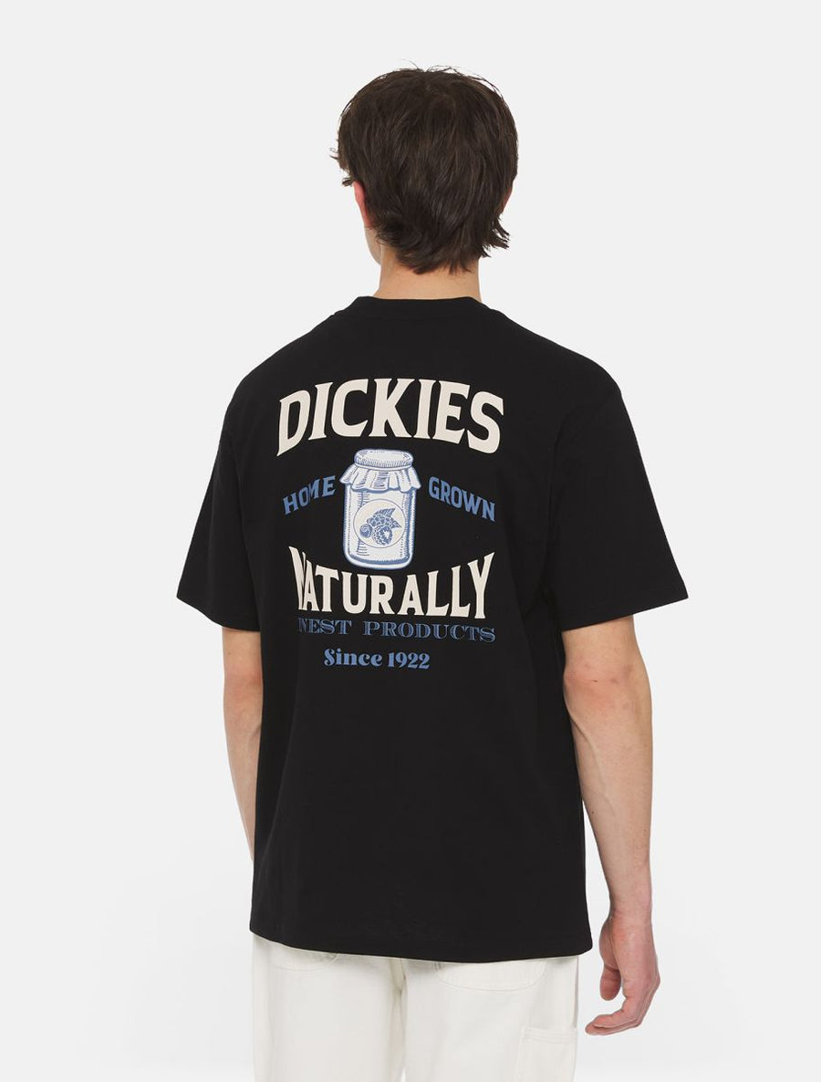 dickies camiseta alliston negro