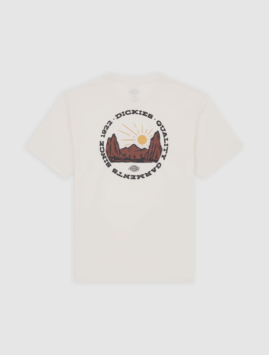 dickies camiseta outdoor egret