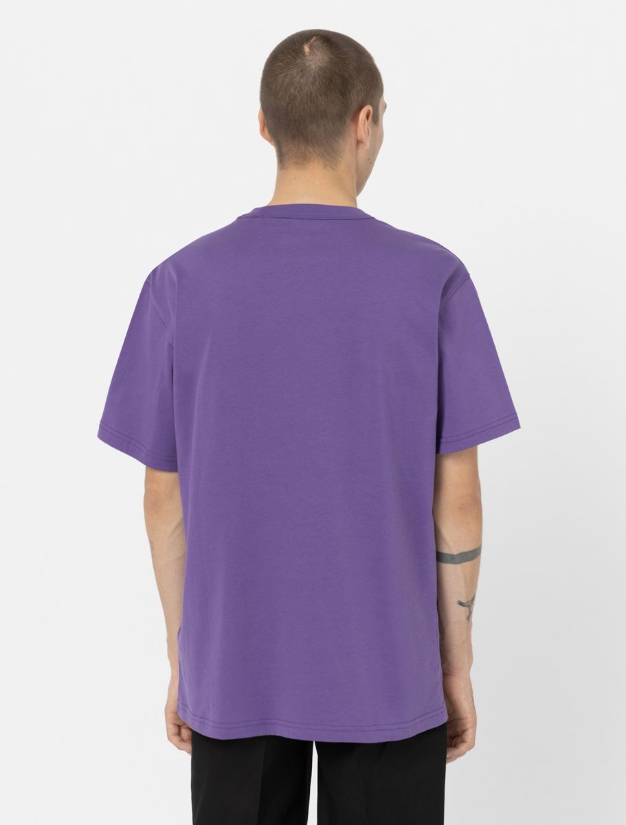 dickies camiseta aitkin chest violeta