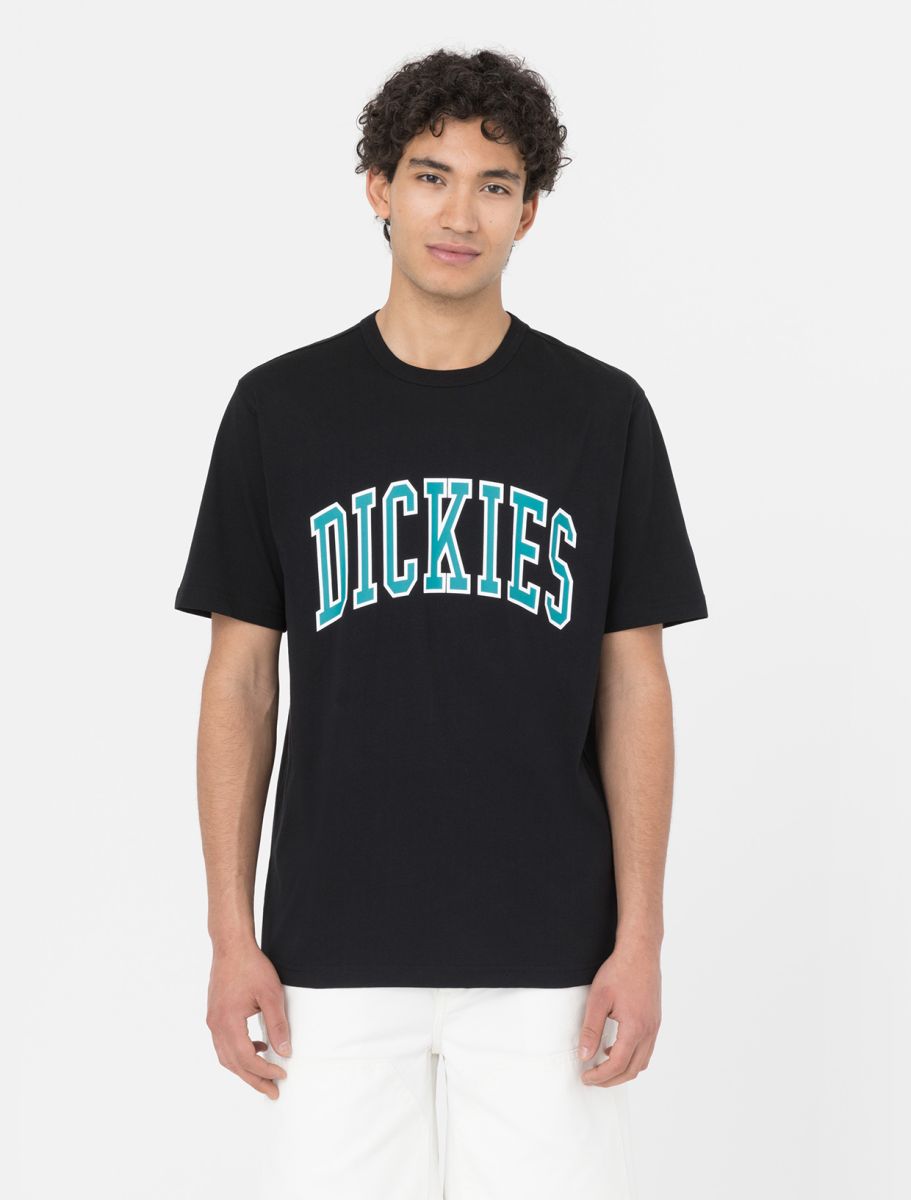 dickies camiseta aitkin blk deep lake