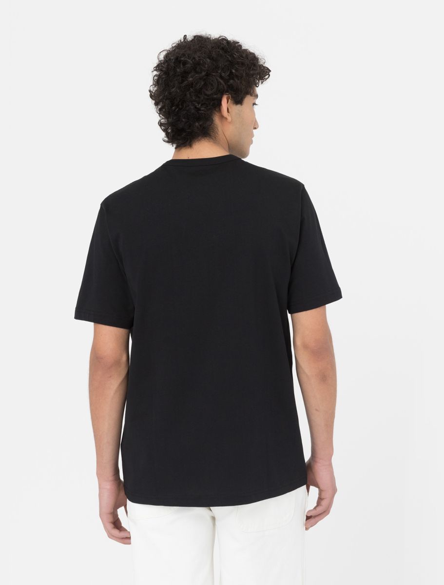 dickies camiseta aitkin blk deep lake