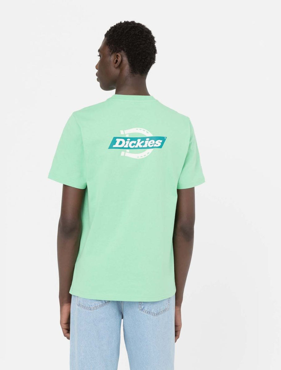 dickies camiseta ruston apple mint