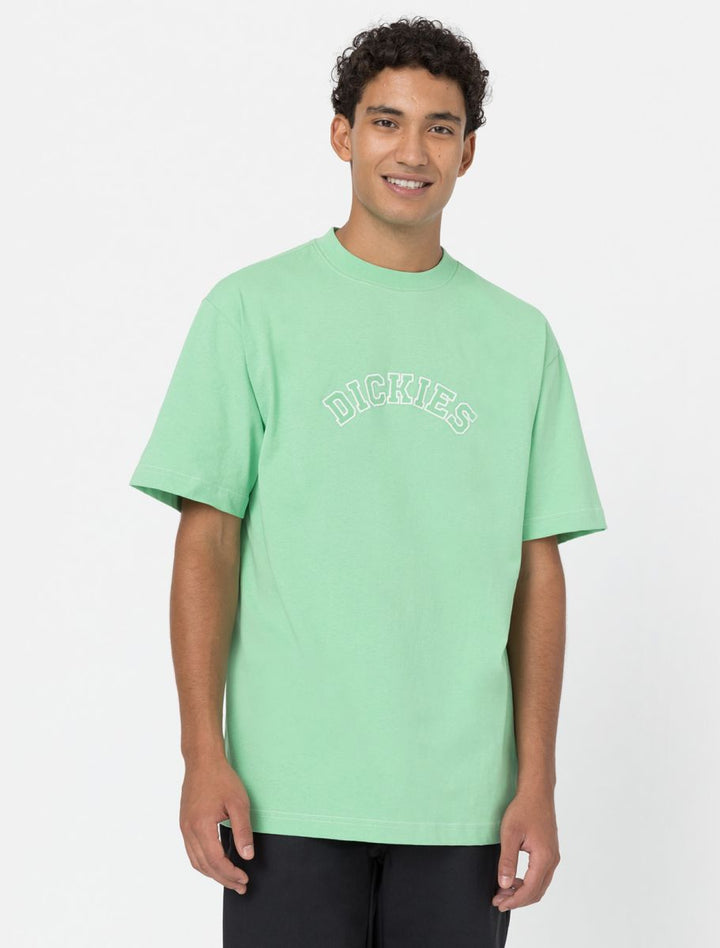 dickies camiseta west vale verde