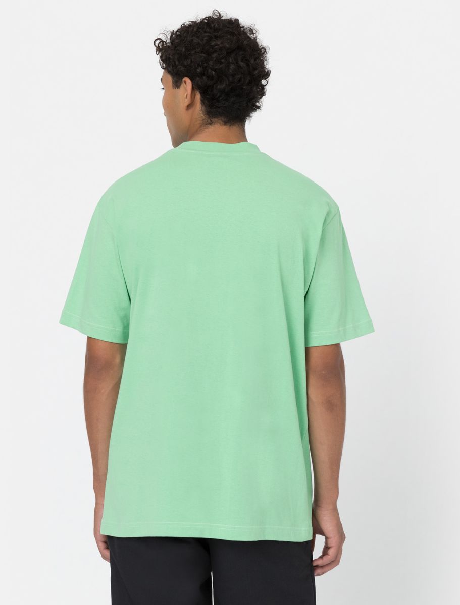 dickies camiseta west vale verde