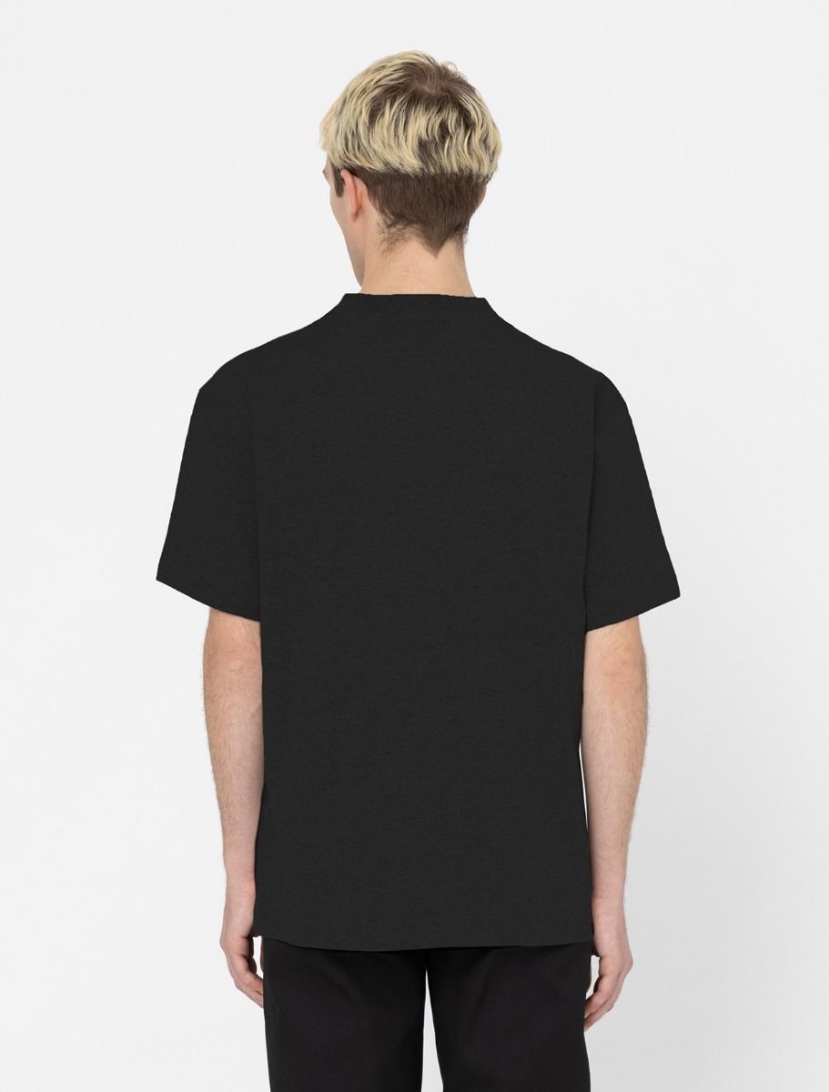 dickies camiseta porterdale negro