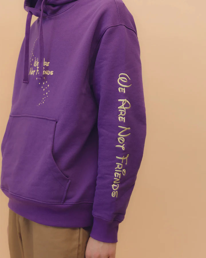 we are not friends sudadera star wizard world