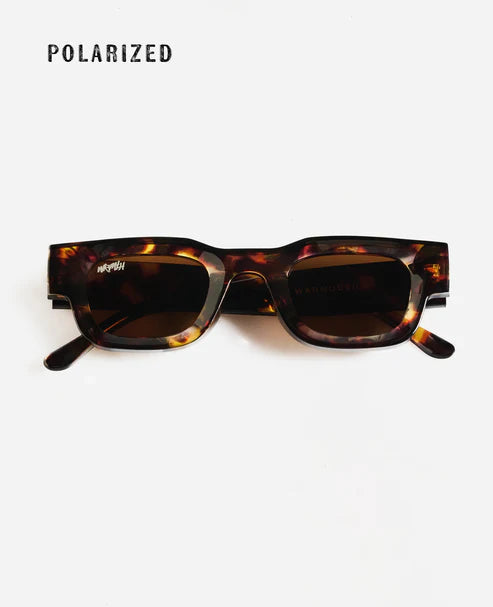 warmouth gafas de sol austin all tortoise