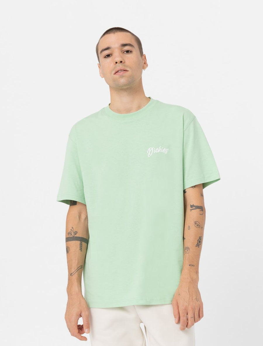 dickies camiseta dighton verde