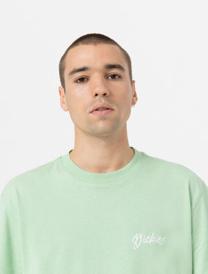 dickies camiseta dighton verde