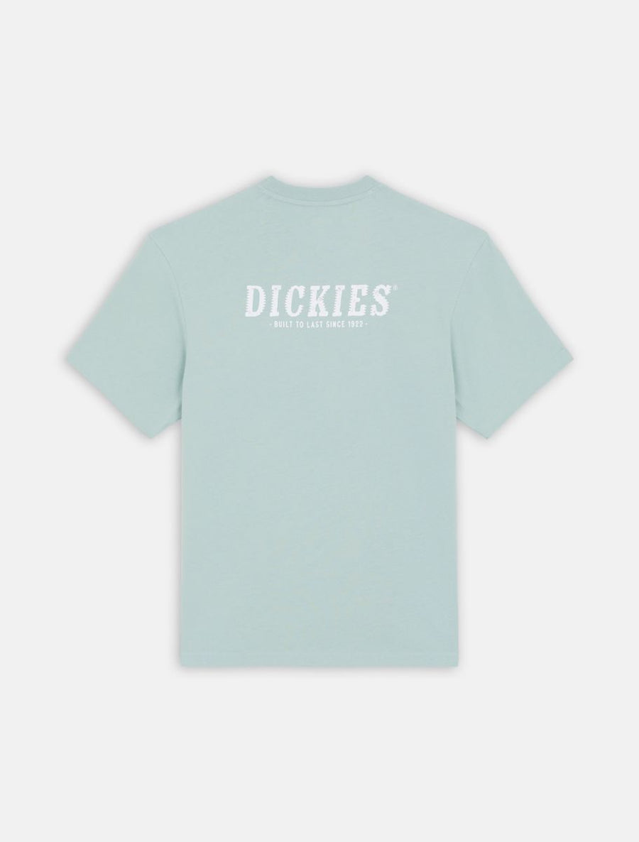 dickies camiseta script  azul