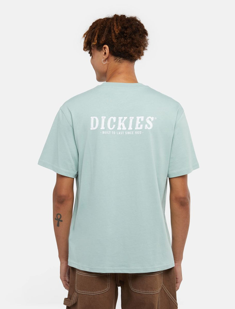 dickies camiseta script  azul