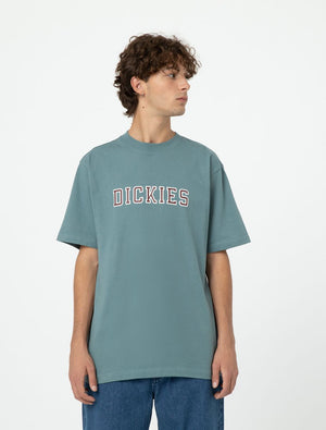 dickies camiseta melvern gris