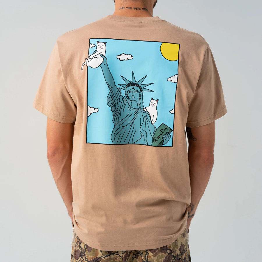 ripndip camiseta liberty pocket