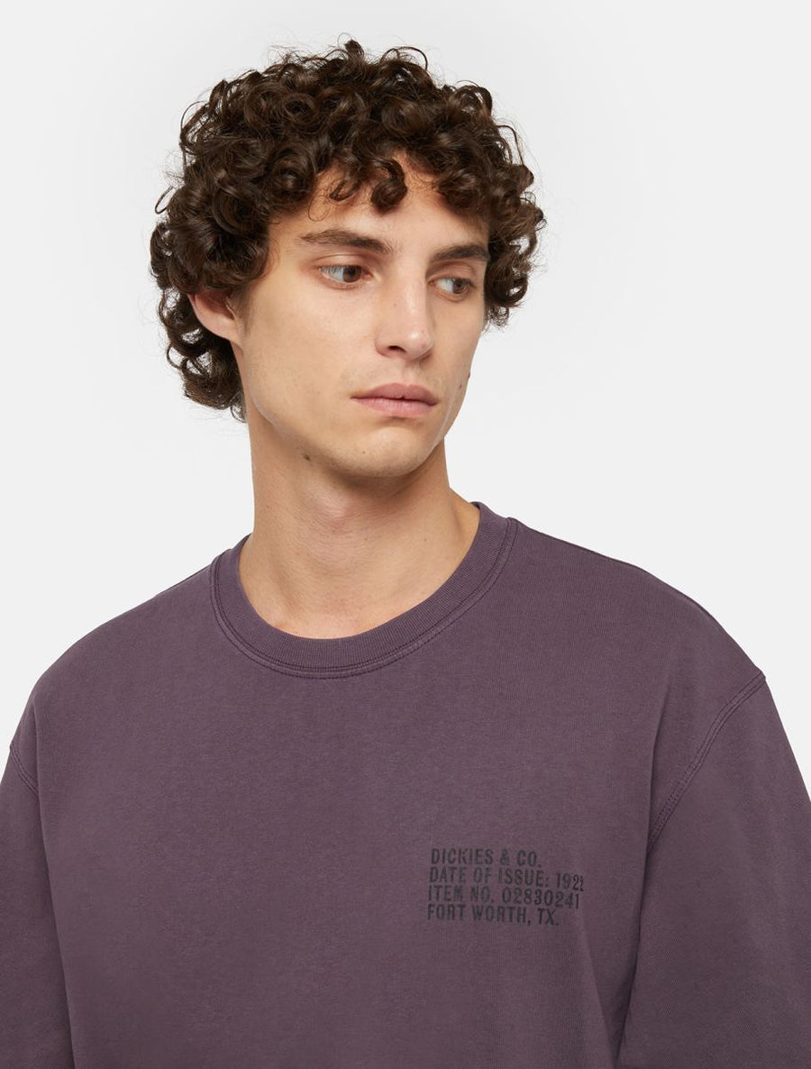 dickies camiseta stamp  plum perfect