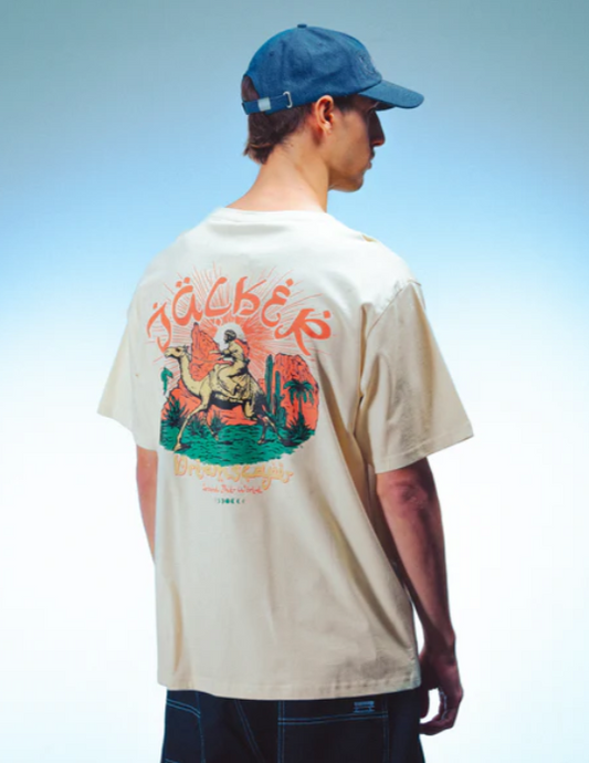 5393999