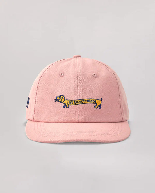 we are not friends gorra doggy