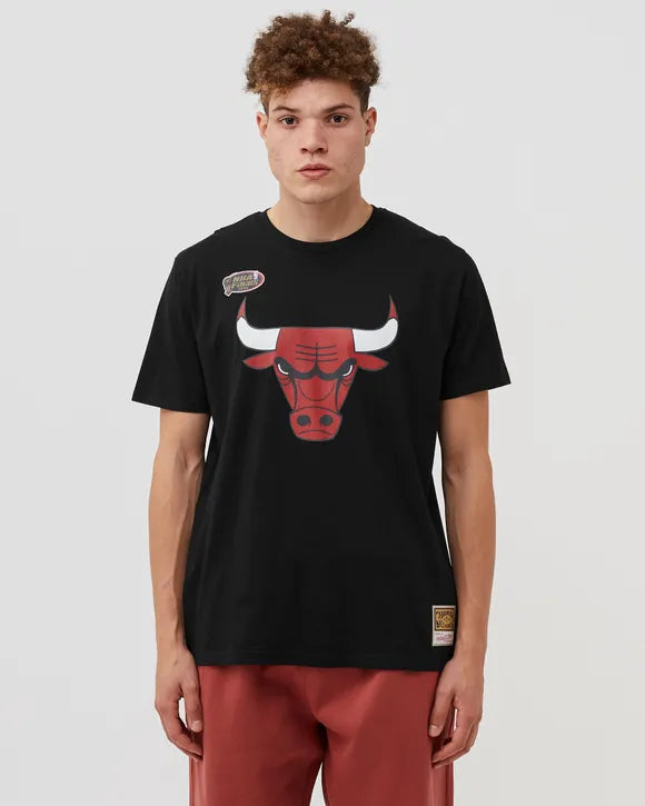 mitchell & ness camiseta team logo chicago bulls