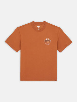 dickies camiseta stanardsville marron claro