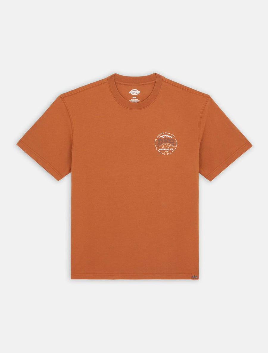 dickies camiseta stanardsville marron claro