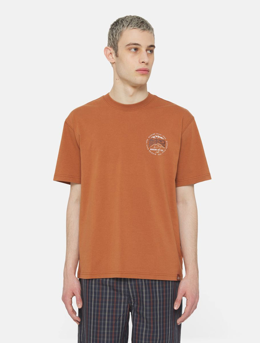 dickies camiseta stanardsville marron claro