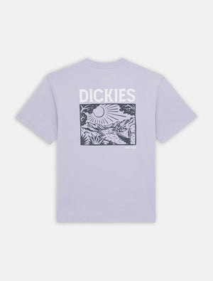 dickies camiseta patrick spring cosmic sky