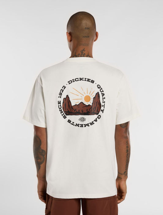 dickies camiseta outdoor egret