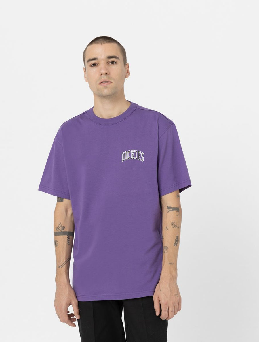 dickies camiseta aitkin chest  violeta