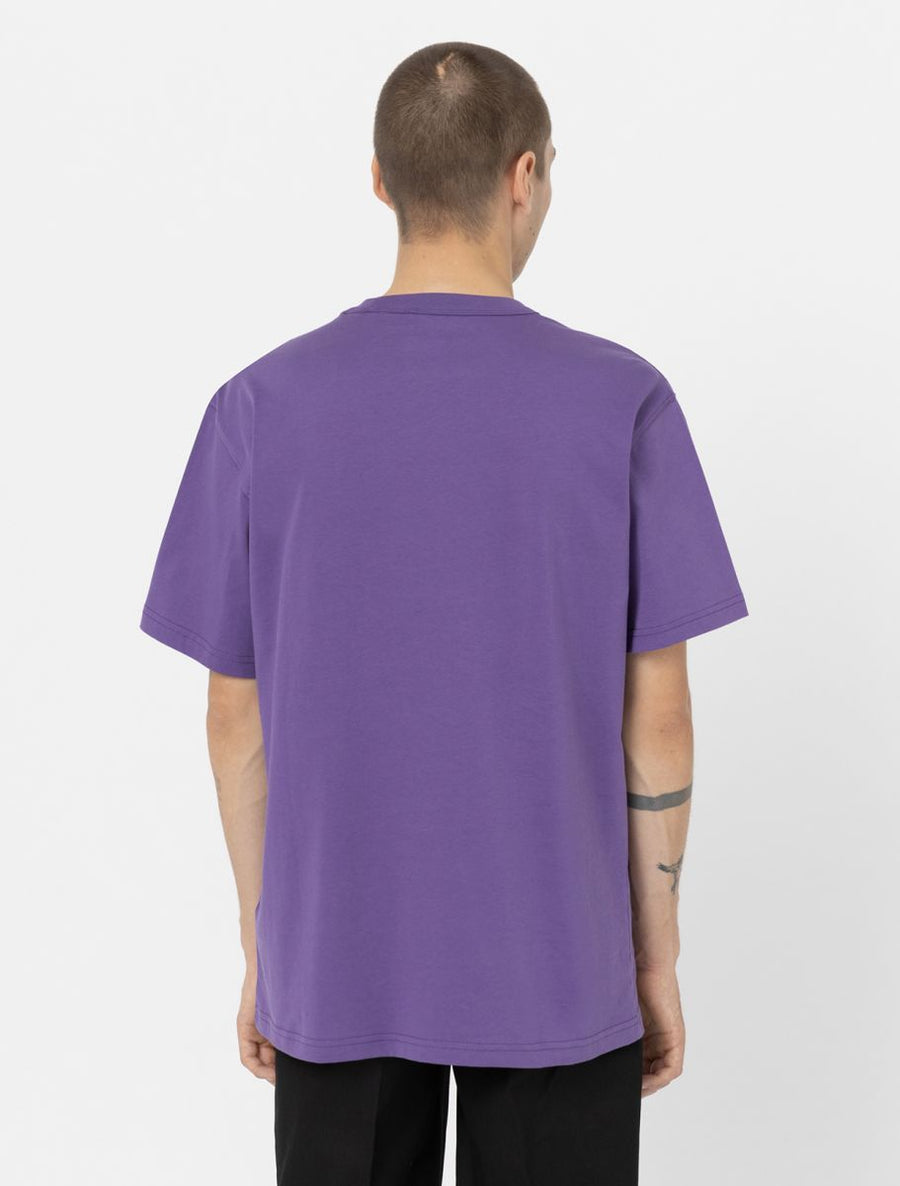dickies camiseta aitkin chest  violeta