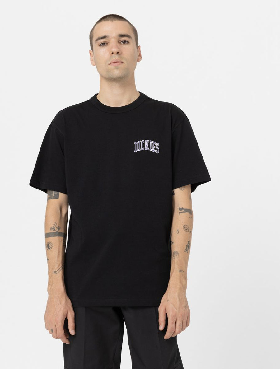 dickies camiseta aitkin