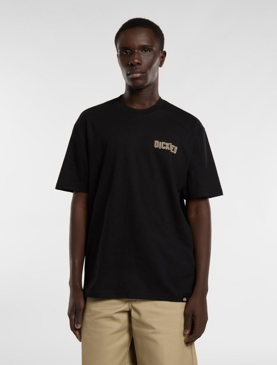 dickies camiseta bricklane  black