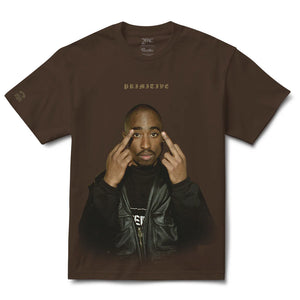 primitive camiseta icon hw brown