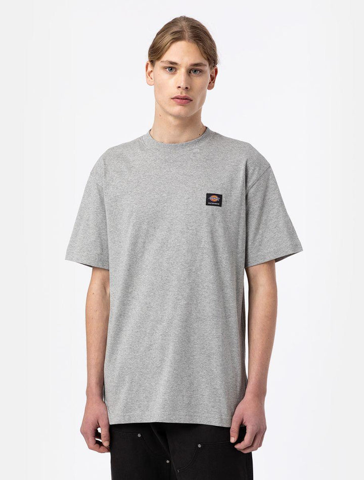 dickies camiseta mout vista grey