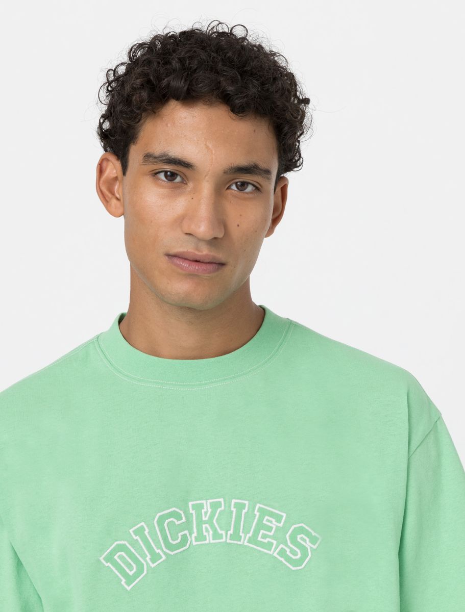 dickies camiseta west vale verde