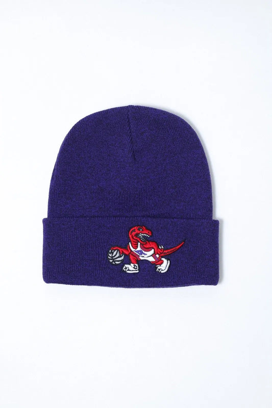 mitchell & ness beanie toronto raptors